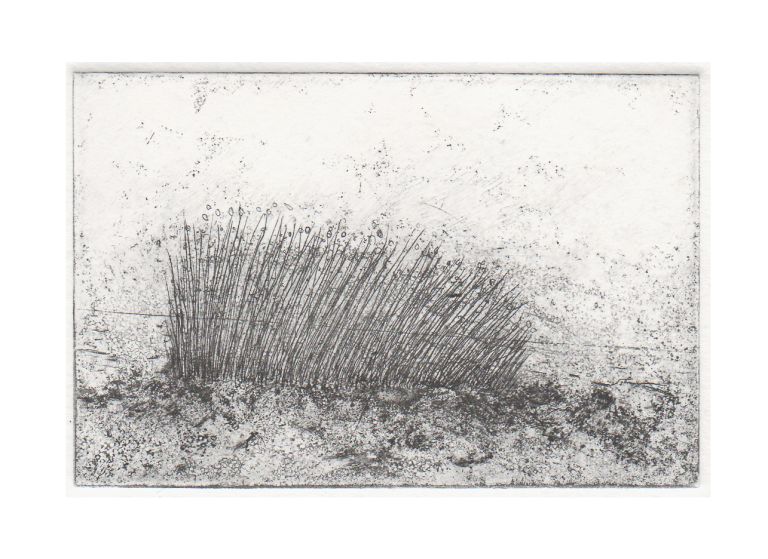 Illustration - Isabelle Brazzolotto - plasticiens/nes